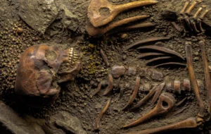 storia dell'uomo