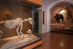 Museo Archeologico del Finale