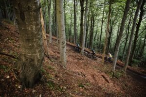 Bikers nella Faggeta della Barbottina