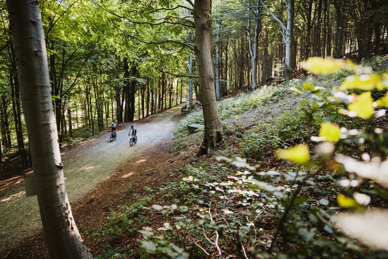 bikers nel bosco