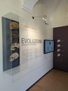 Museo Archeologico del Finale