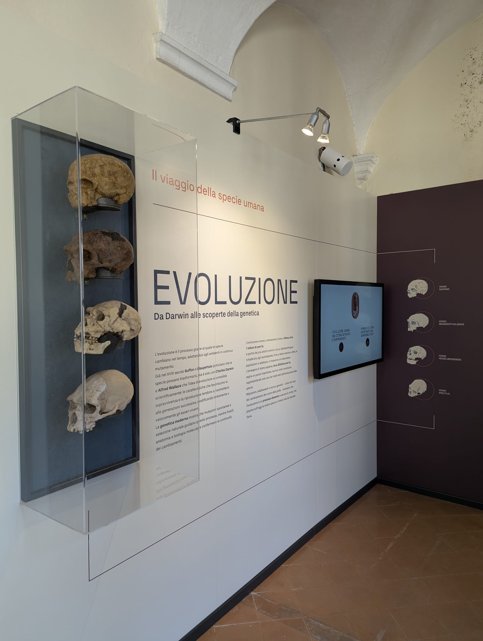 Museo Archeologico del Finale