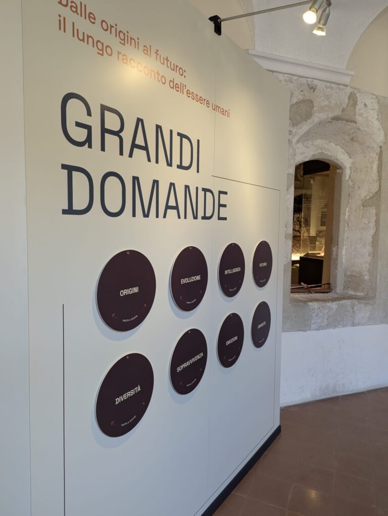 Museo Archeologico del Finale