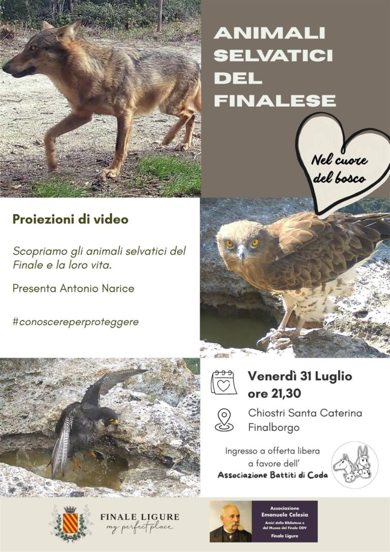 Animali selvatici nel finalese