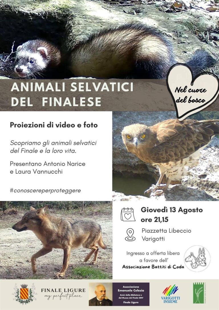 Animali selvatici nel Finalese