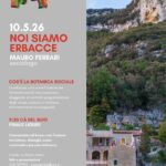 Noi siamo erbacce – CA’ DEL BUIO