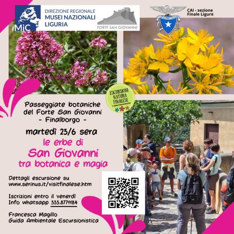 Le erbe di San Giovanni tra botanica e magia – SERINUS