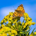 Le meraviglie della biodiversità: visita al parco