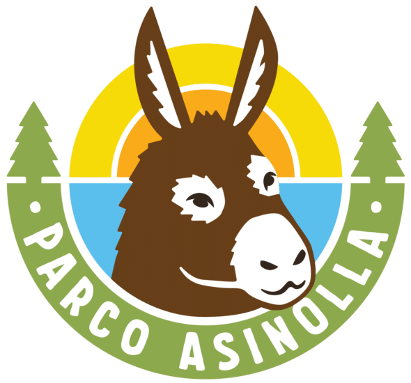 A.S.D. Asinolla