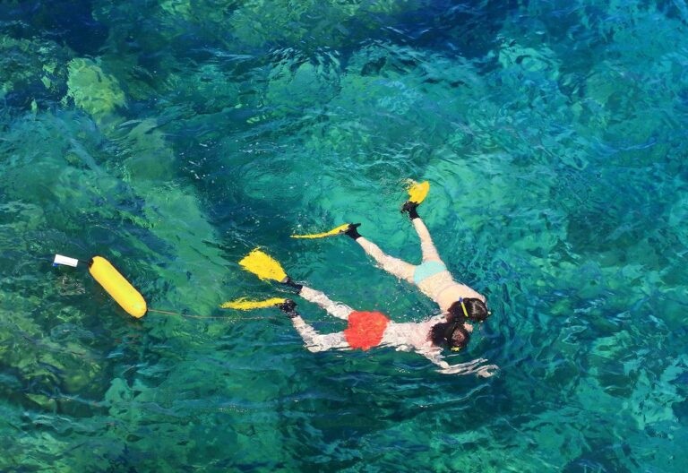 Scoprendo l’Isola di Bergeggi – OUTDOOR ACTIVITY