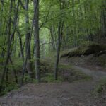 Gallinara trail center –  TEAM SENZA ROTELLE