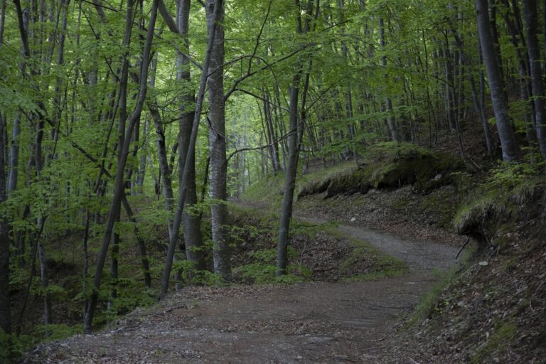 Gallinara trail center –  TEAM SENZA ROTELLE