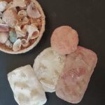 Impronte dal passato: laboratorio fossili – MAF