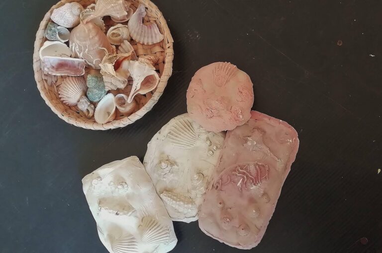 Impronte dal passato: laboratorio fossili – MAF