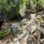 Tecnique Private Lessons – Local MTB Guide