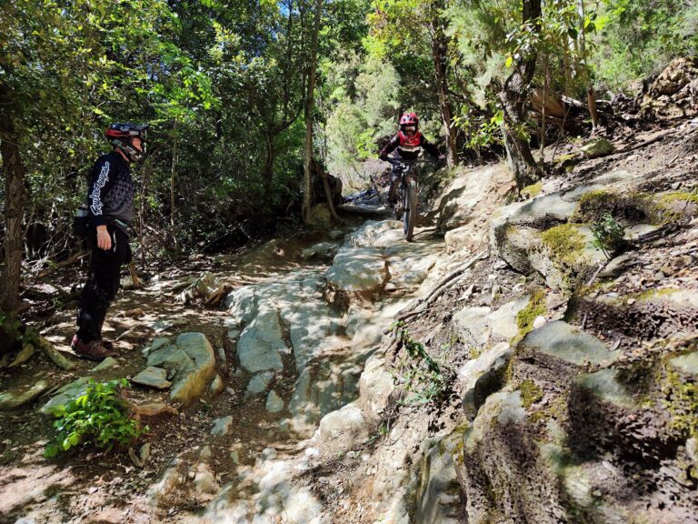 Tecnique Private Lessons – Local MTB Guide