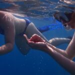 Snorkeling – CRIBYOO