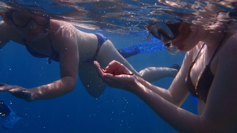 Snorkeling – CRIBYOO
