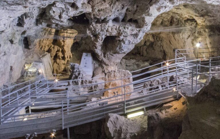 Visita alla Caverna delle Arene Candide – MUDIF