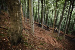 persone in bici in una faggeta
