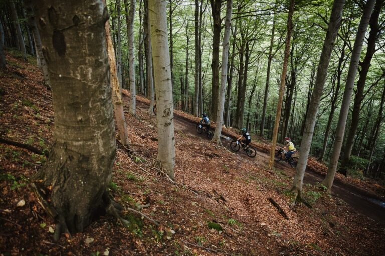 persone in bici in una faggeta