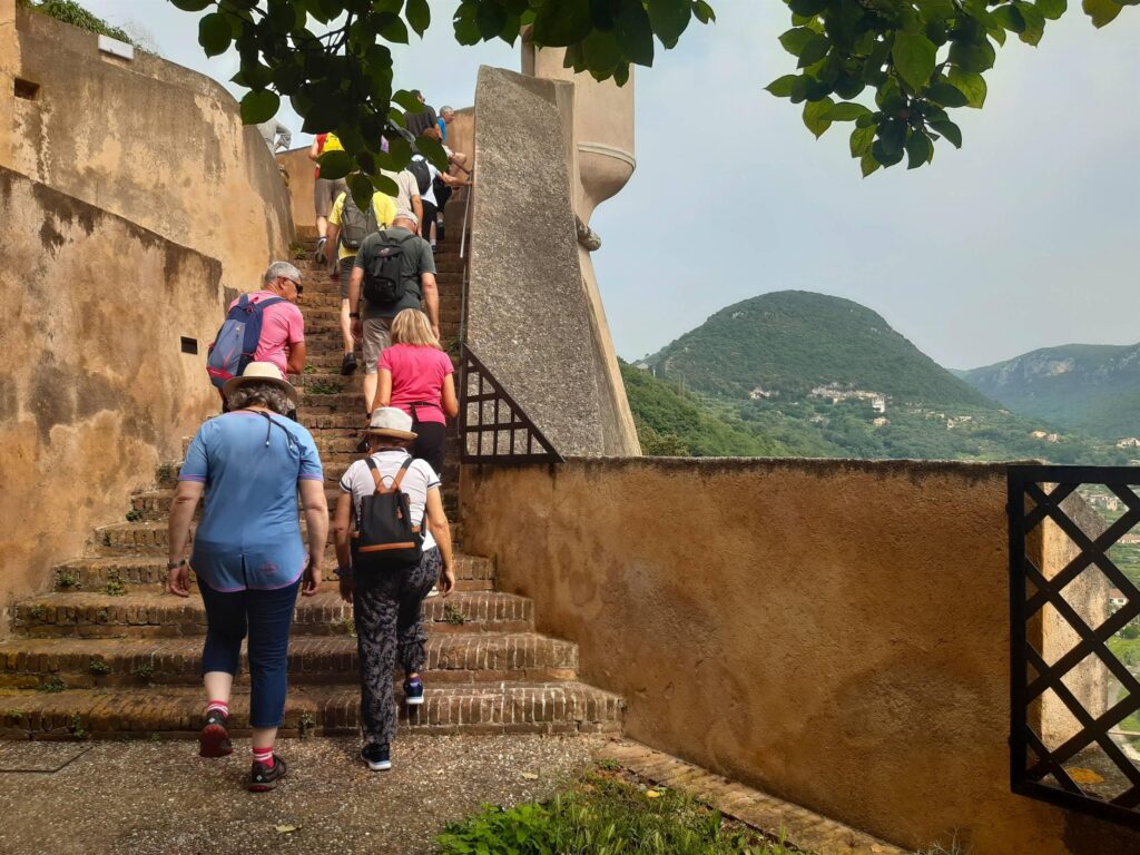 Passeggiate botaniche al Forte: Botanica, cammino e alimentazione